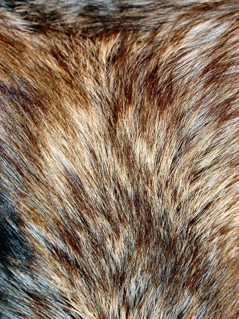 MATERIAL MODULES - MUSKS: JANUARY