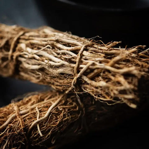 VETIVER NOSEDIVE (ONLINE)