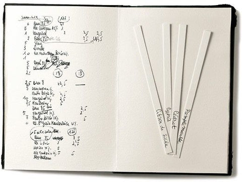 INTRO TO PERFUMERY: A PRIMER