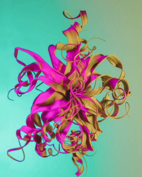 GIFT CARD FRAGRANCE ALLIANCE NETWORK