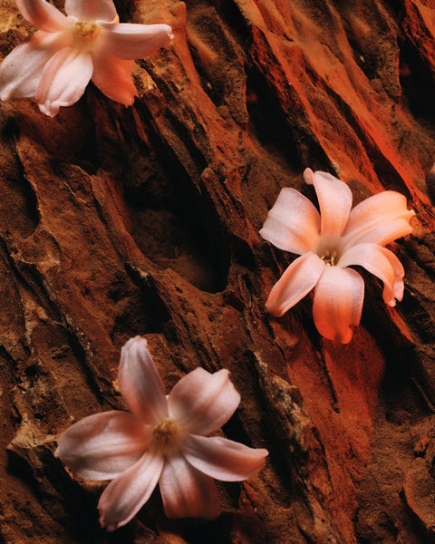 INTRO TO FRAGRANCE MATERIALS: PART 2