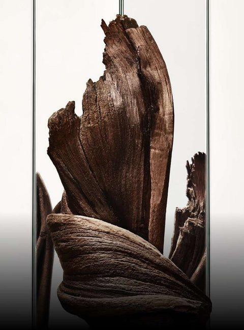 AGARWOOD NOSEDIVE (ONLINE)