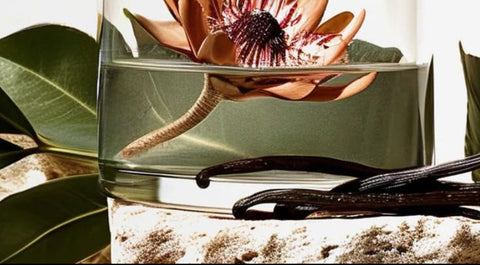 THE ART OF FUNCTIONAL FRAGRANCE WITH BOTANICALS