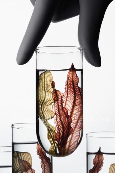 PROCUREMENT 101 - SOURCING MATERIALS FOR THE PERFUMER'S ORGAN