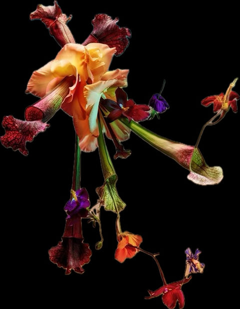 HYDROSOL EXPLORATION: OLFACTIVE BOTANICAL WATERS