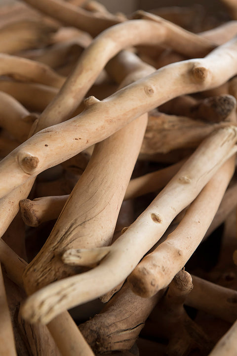 NOSEDIVE INTO SANDALWOOD: ONLINE