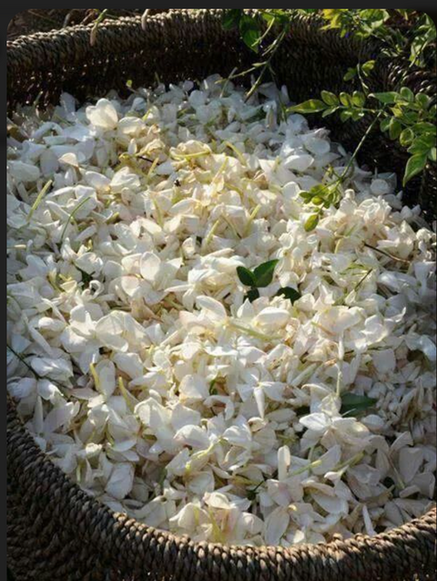 THREE FLOWERS, ONE SUNDAY: JASMINE