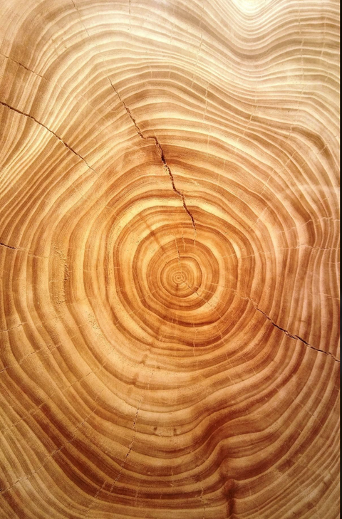 THREE WOODS, ONE SUNDAY: SANDALWOOD