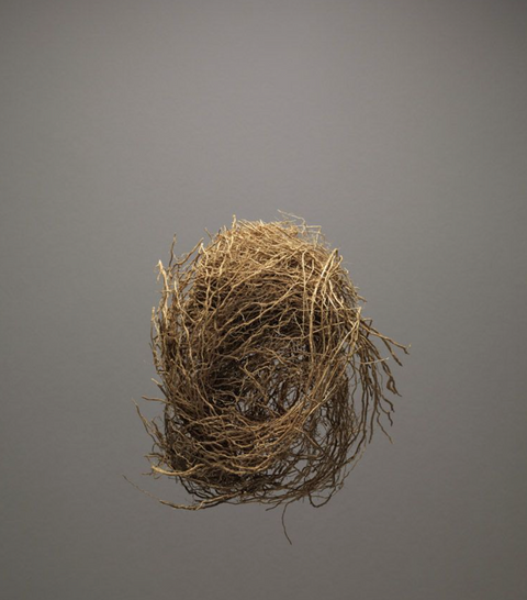 THREE WOODS, ONE SUNDAY: VETIVER