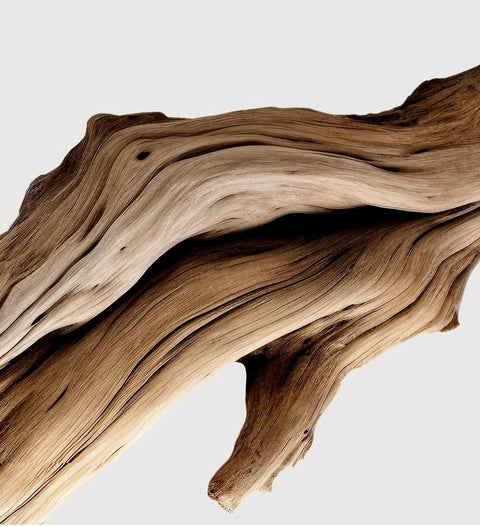 SANDALWOOD NOSEDIVE (ONLINE)