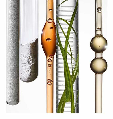 PERFUMERY CONSULTATION WORKSHOP - MODULAR BASES AND FORMULA REVIEW