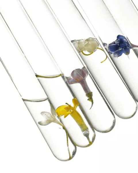 INTRO TO FRAGRANCE MATERIALS