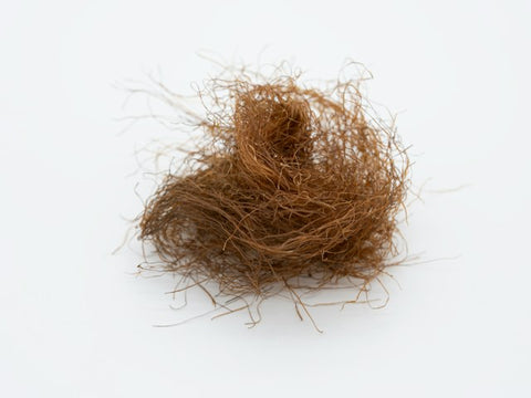 THREE WOODS, ONE SUNDAY: VETIVER