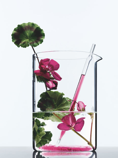 HYDROSOL TASTING WORKSHOP