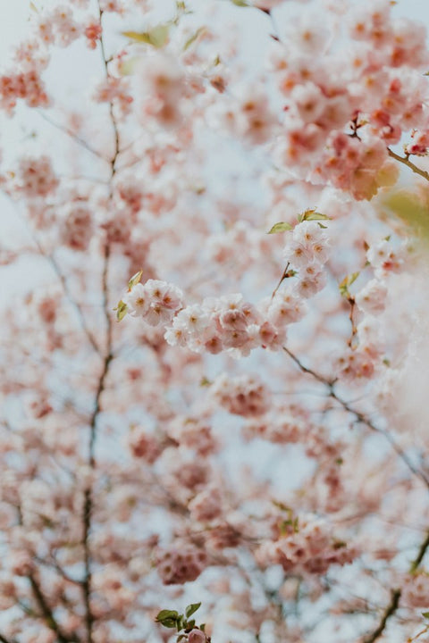 FRAGRANCE MATERIALS: PART 1