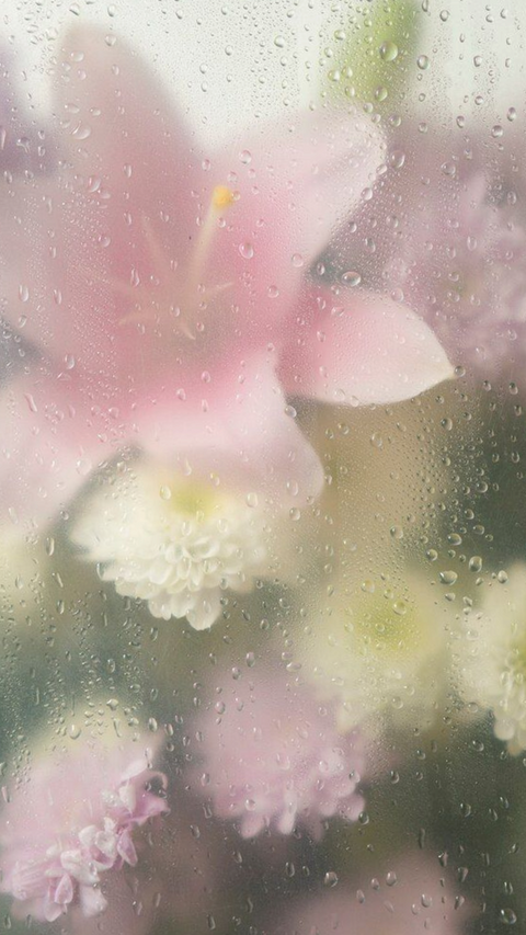 BLENDING AND DILUTION: SPRING FLANKERS