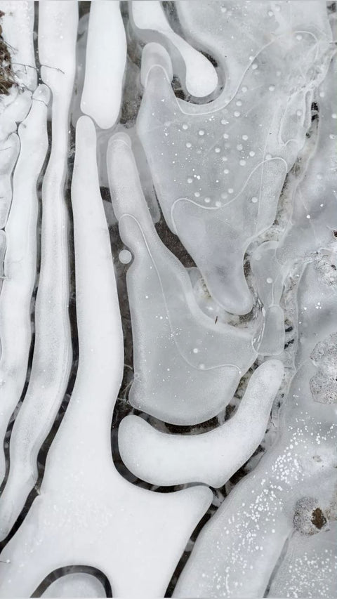 INTRO TO PERFUMERY: A PRIMER - FEBRUARY