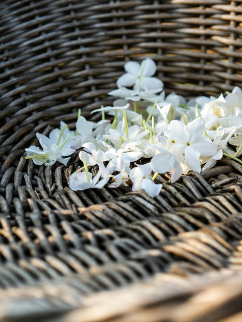 THREE FLOWERS, ONE SUNDAY: JASMINE