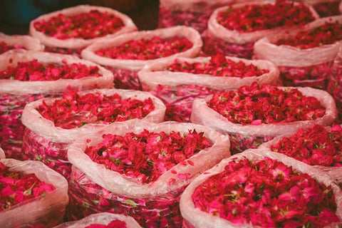 THREE FLOWERS, ONE SUNDAY: ROSE
